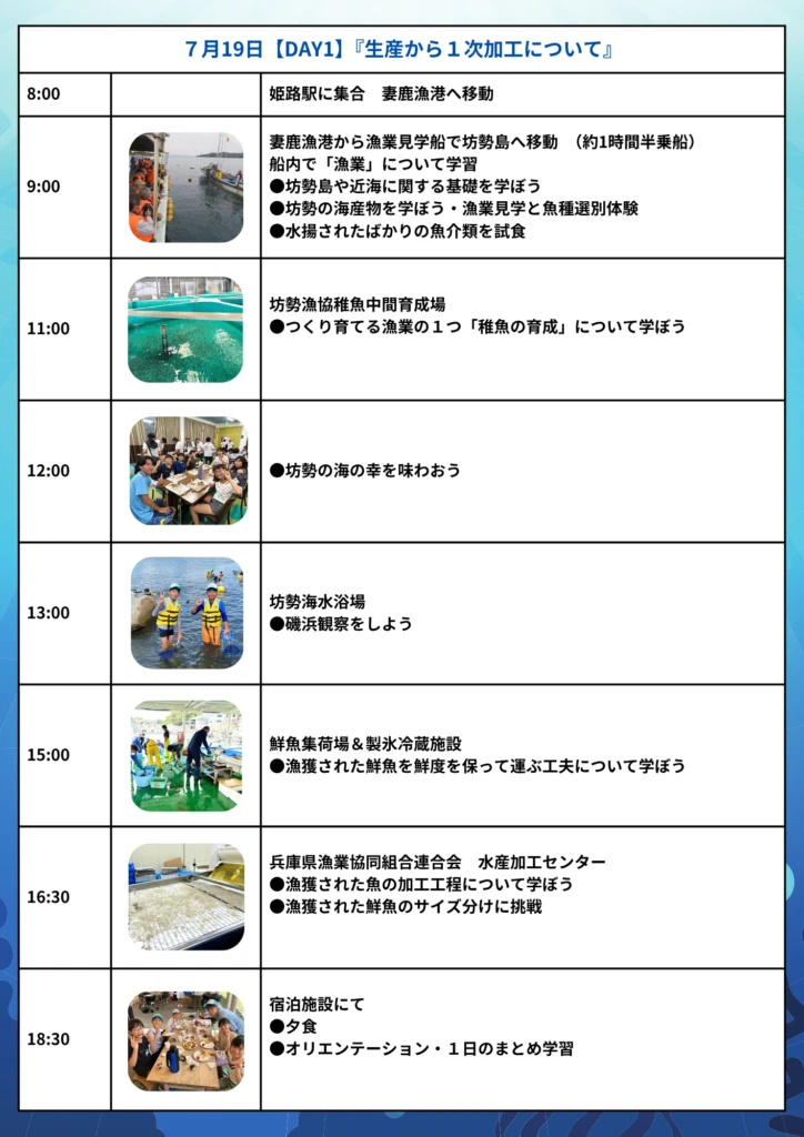 姫路　海の自由研究ツアー